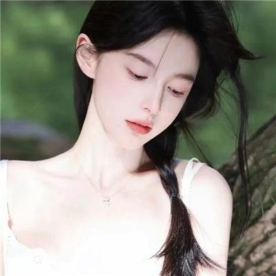 雪落时你向南飞