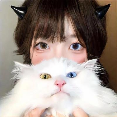 下一站彩虹国语